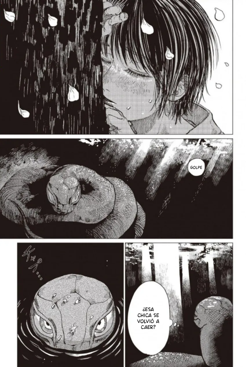 25 El señor de la montaña