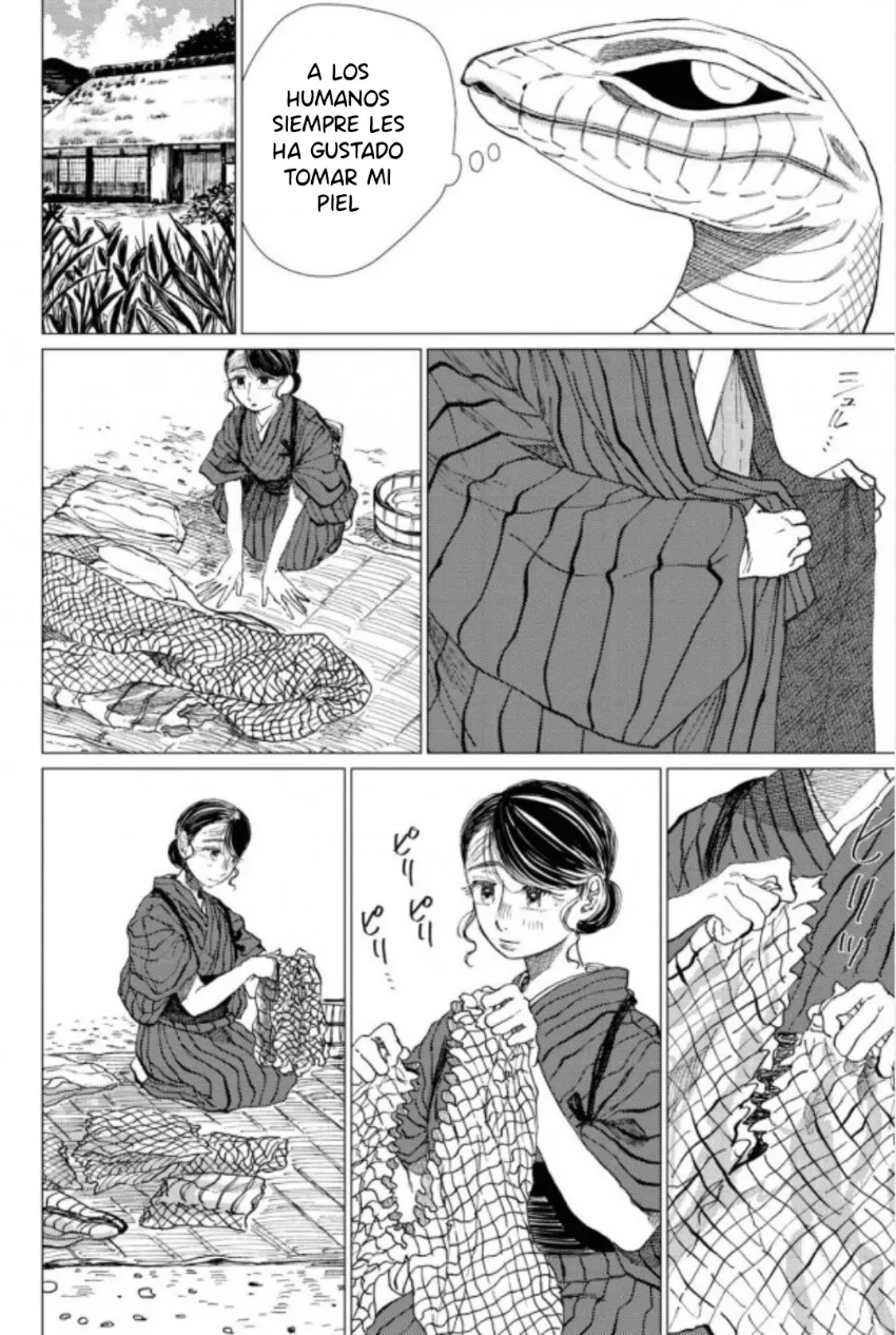 11 El señor de la montaña