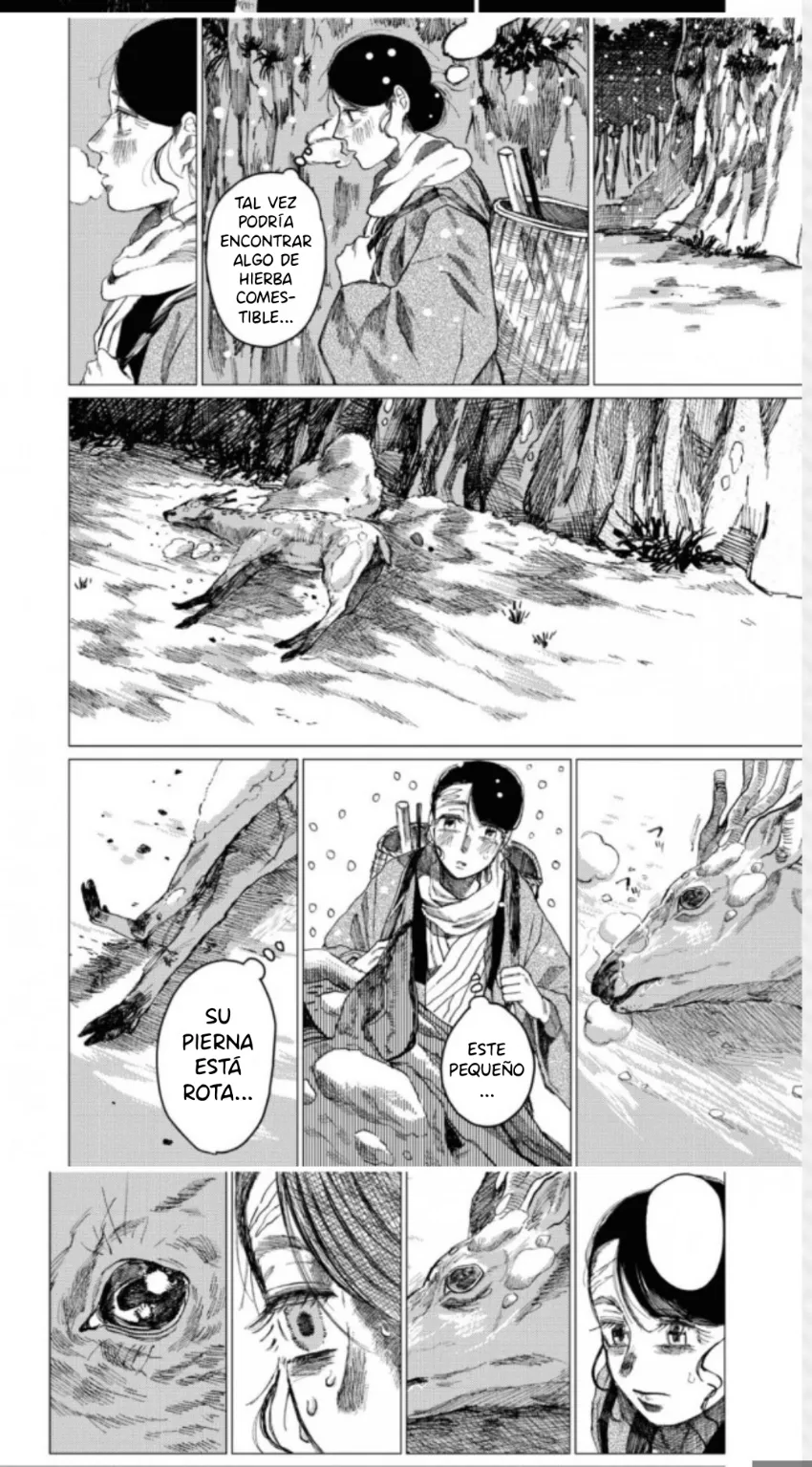 11 El señor de la montaña