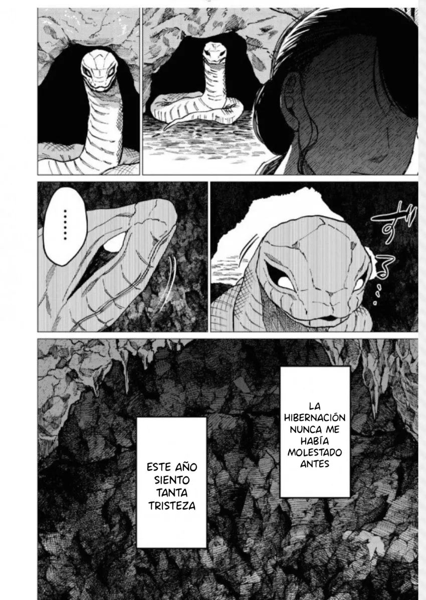 17 El señor de la montaña