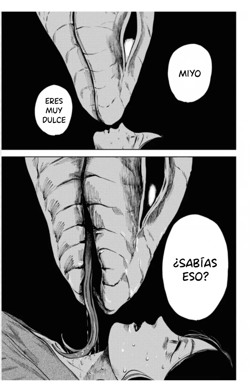 14 El señor de la montaña