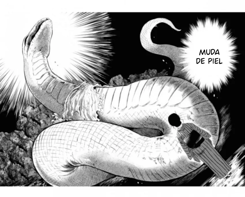 17 El señor de la montaña