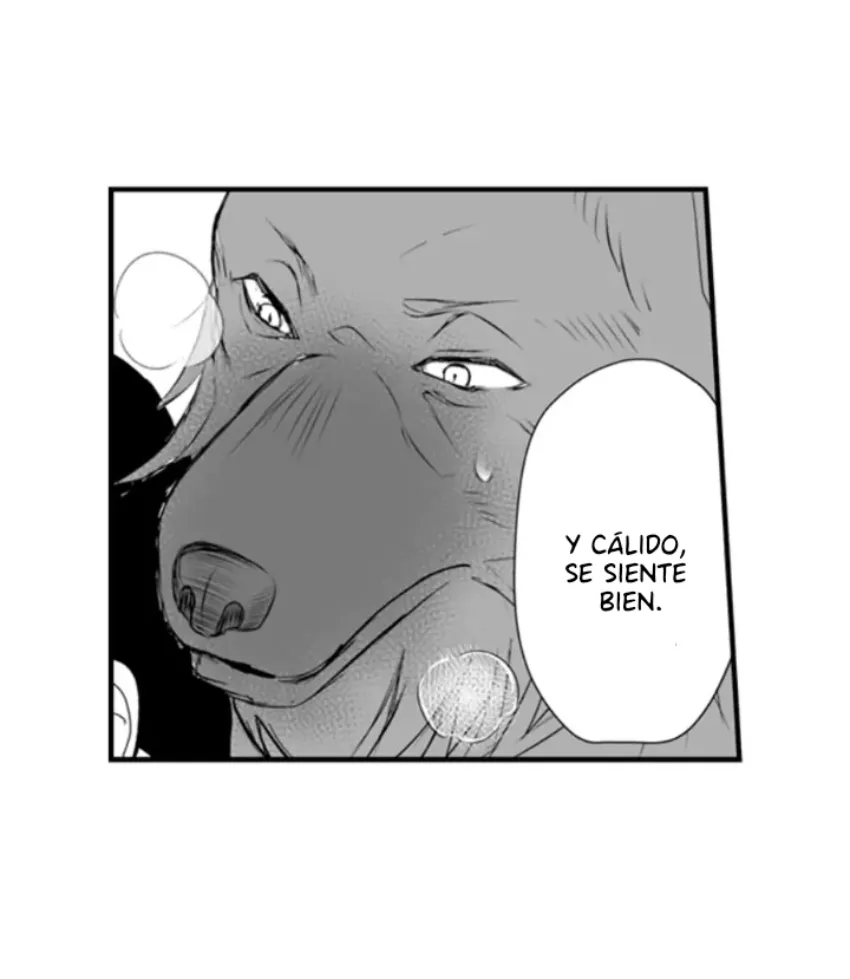 33 Mi esposa predestinada