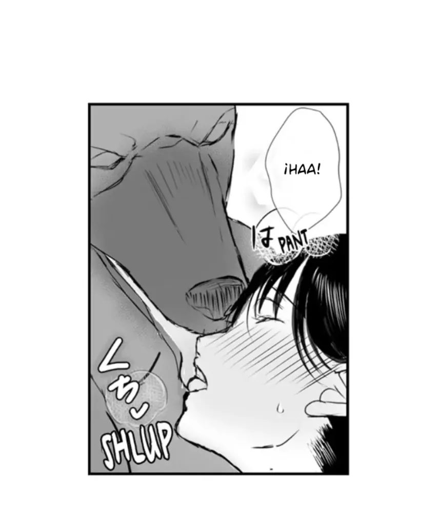 13 Mi esposa predestinada