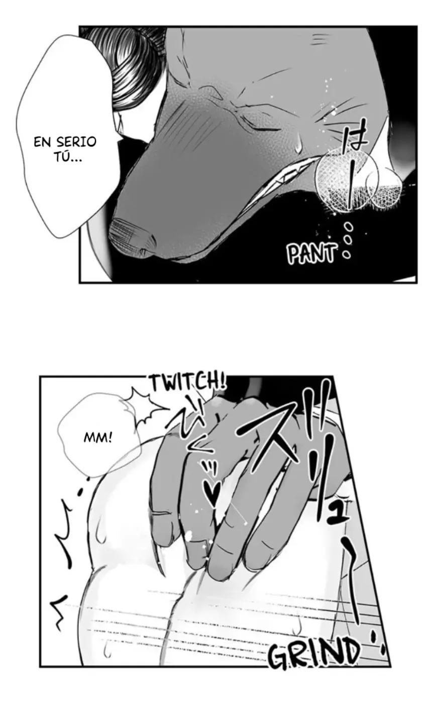 6 Mi esposa predestinada