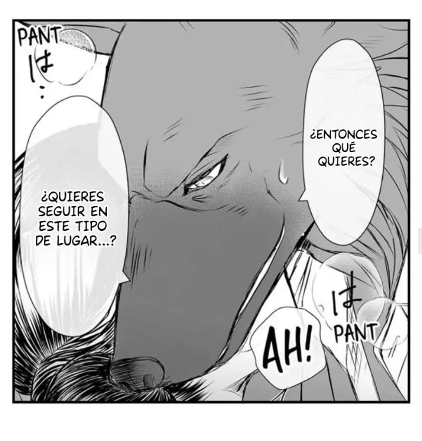 20 Mi esposa predestinada