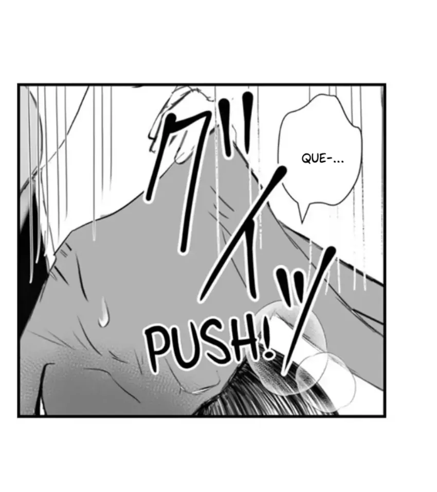 40 Mi esposa predestinada