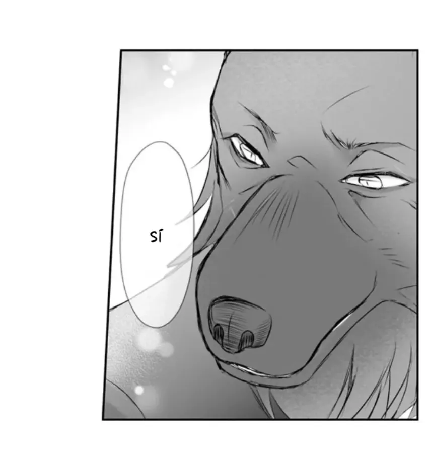 35 Mi esposa predestinada