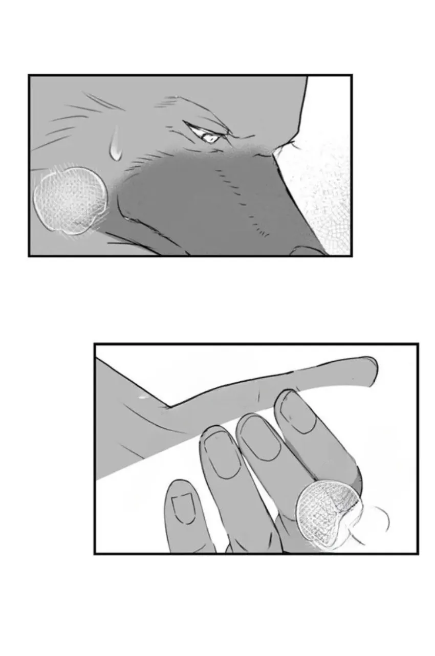 21 Mi esposa predestinada