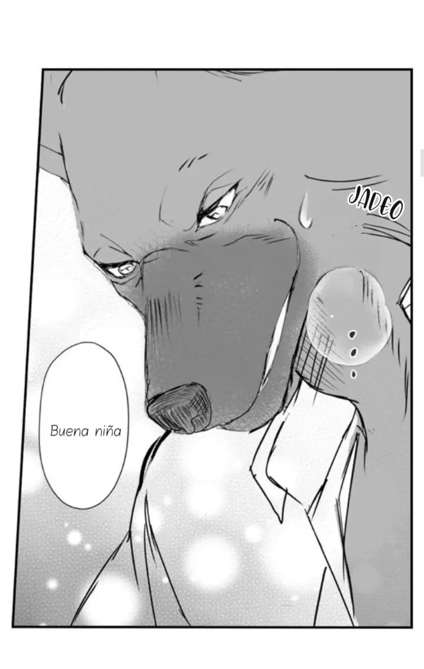 12 Mi esposa predestinada