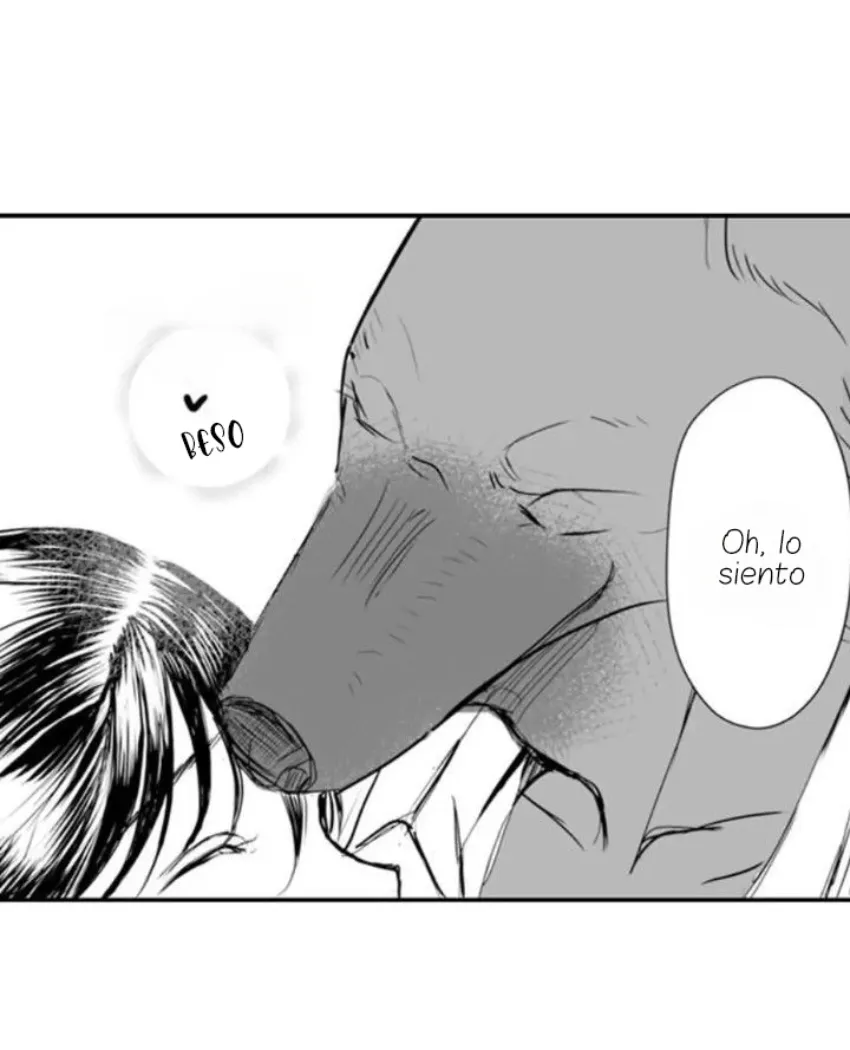 17 Mi esposa predestinada