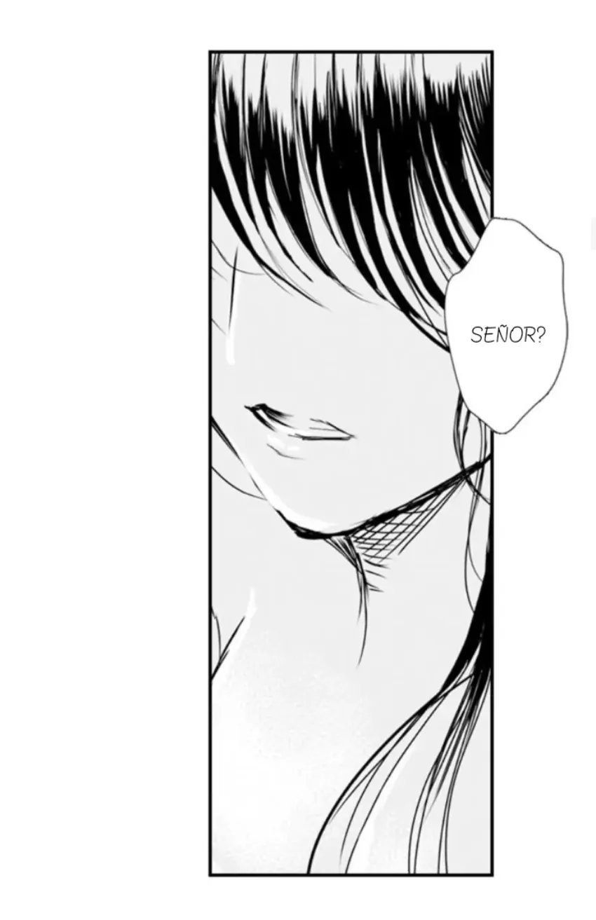 17 Mi esposa predestinada