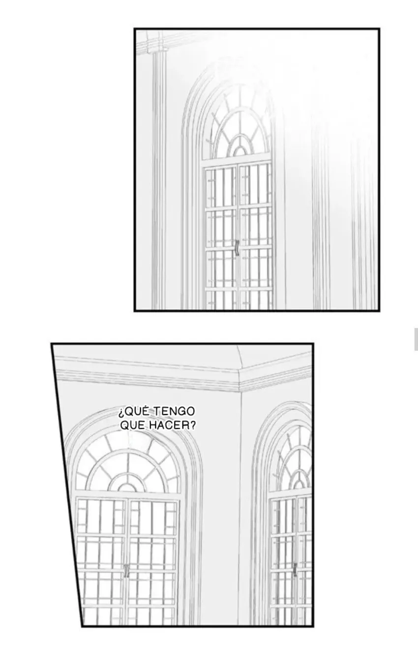 26 Mi esposa predestinada