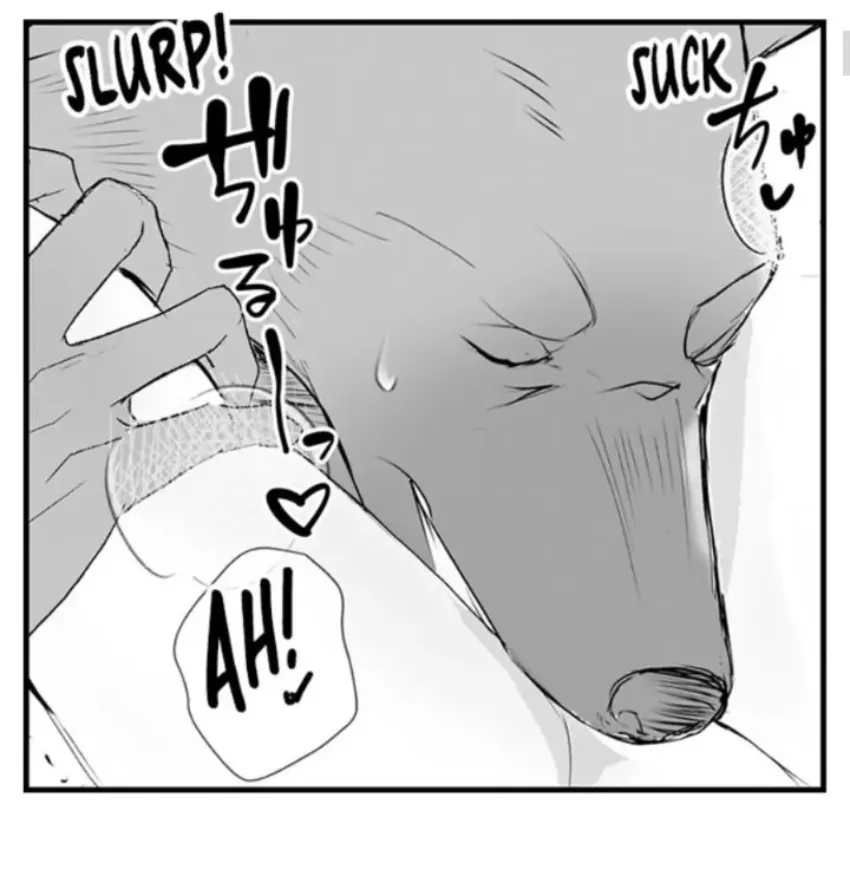 11 Mi esposa predestinada