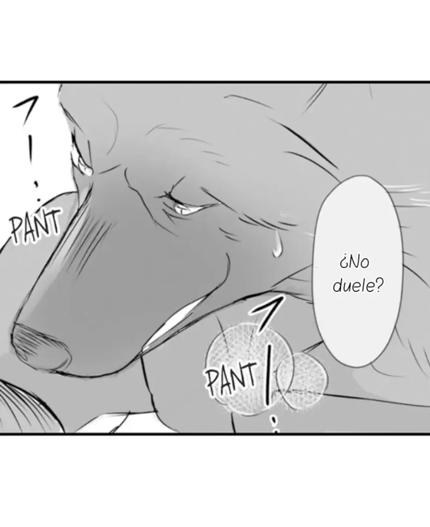 28 Mi esposa predestinada