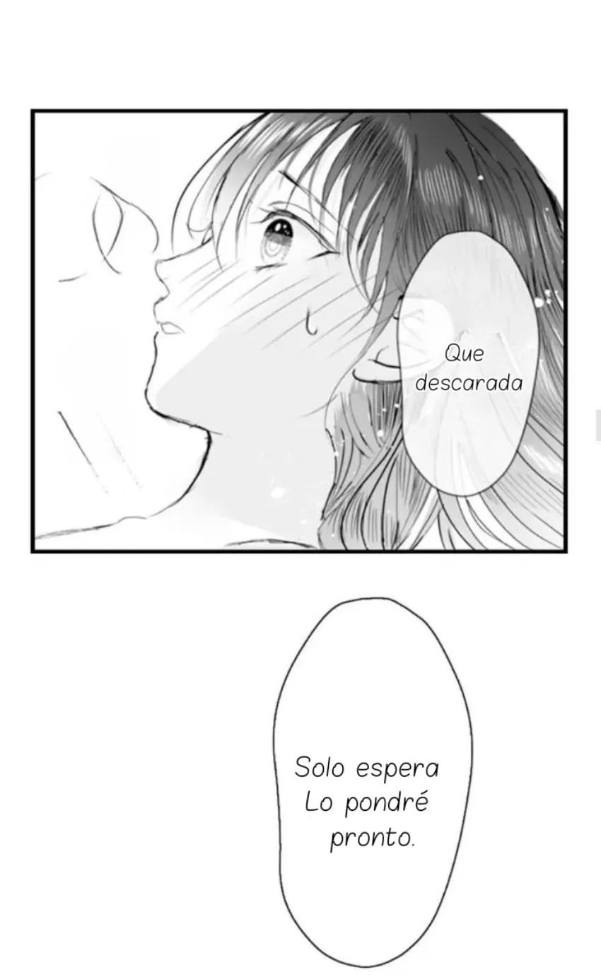 17 Mi esposa predestinada