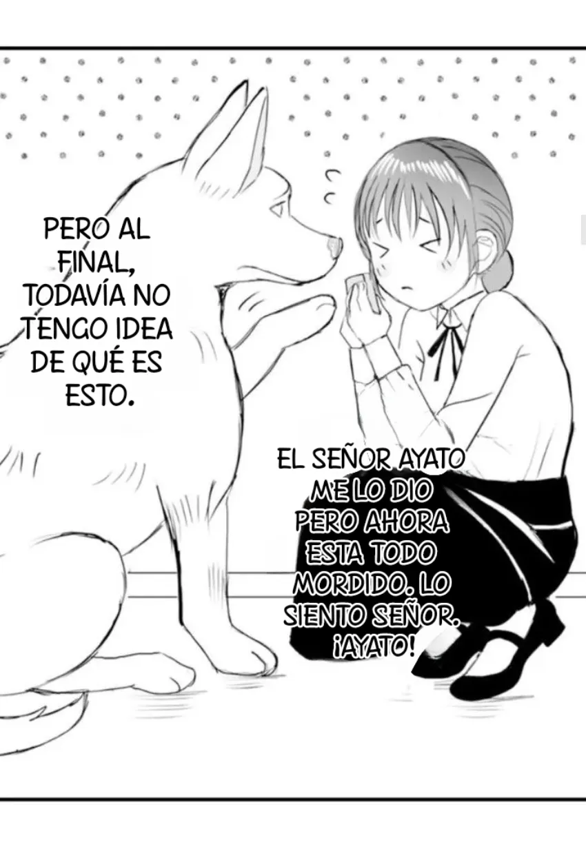 19 Mi esposa predestinada