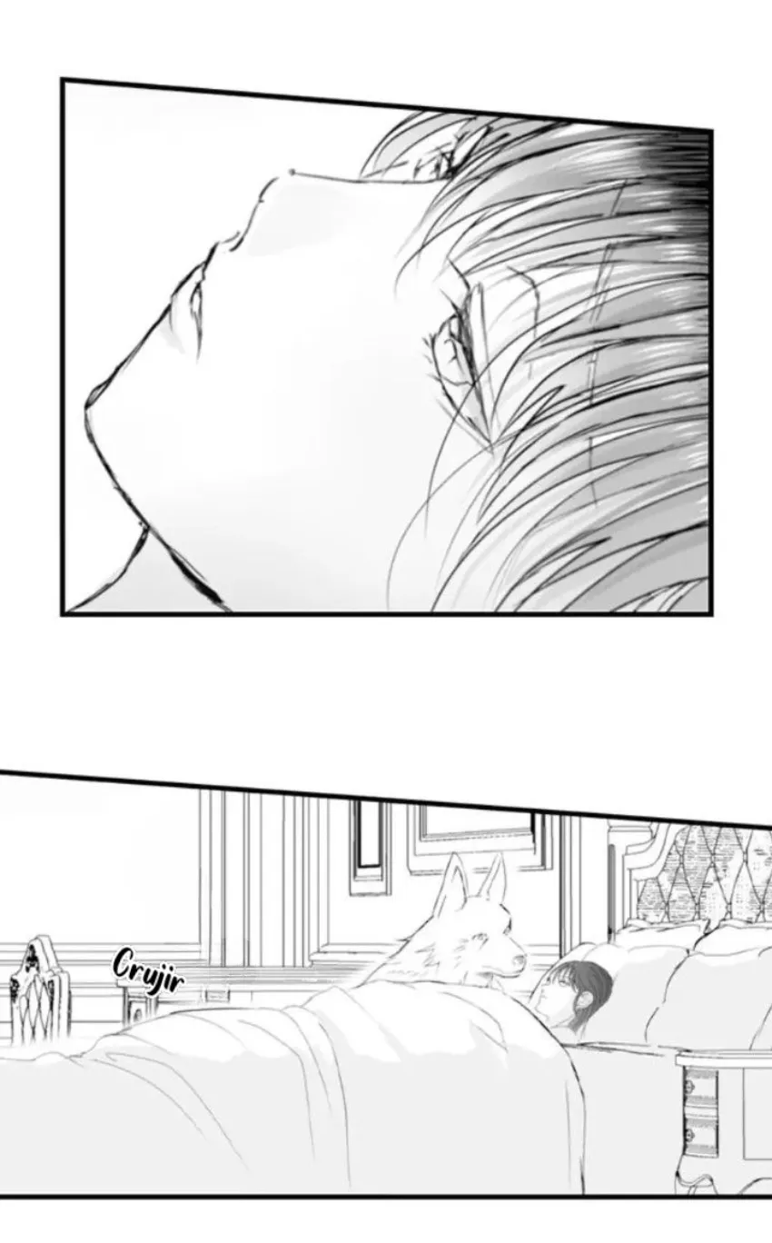 5 Mi esposa predestinada