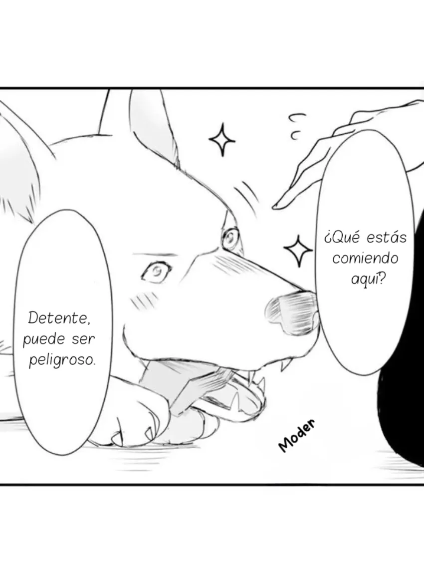 15 Mi esposa predestinada