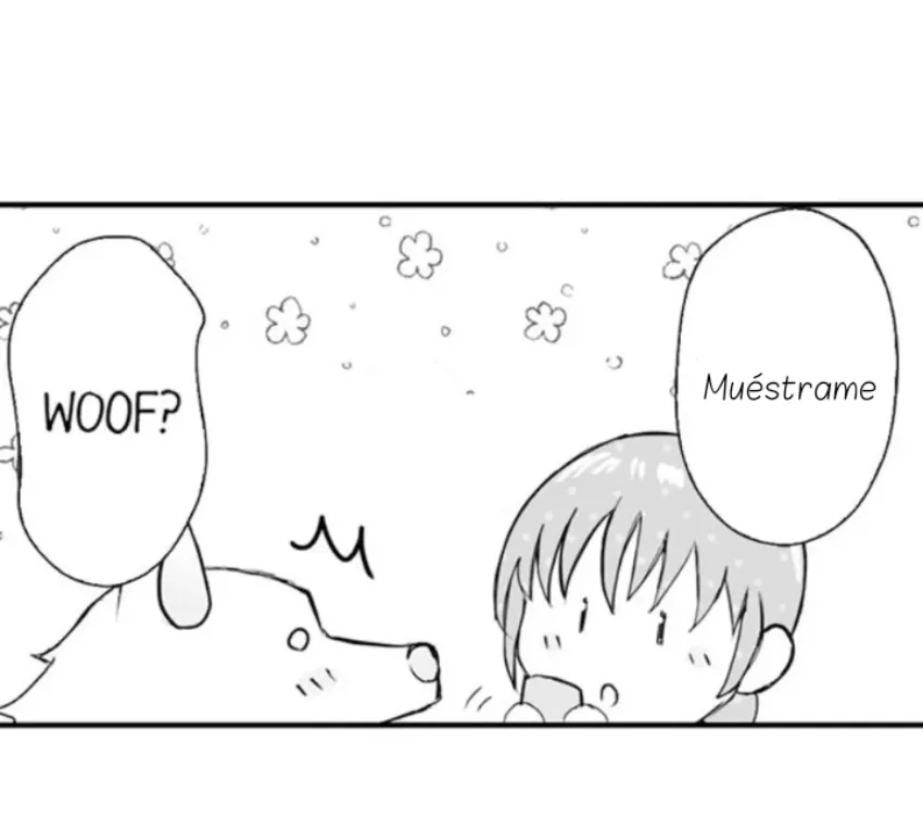 16 Mi esposa predestinada