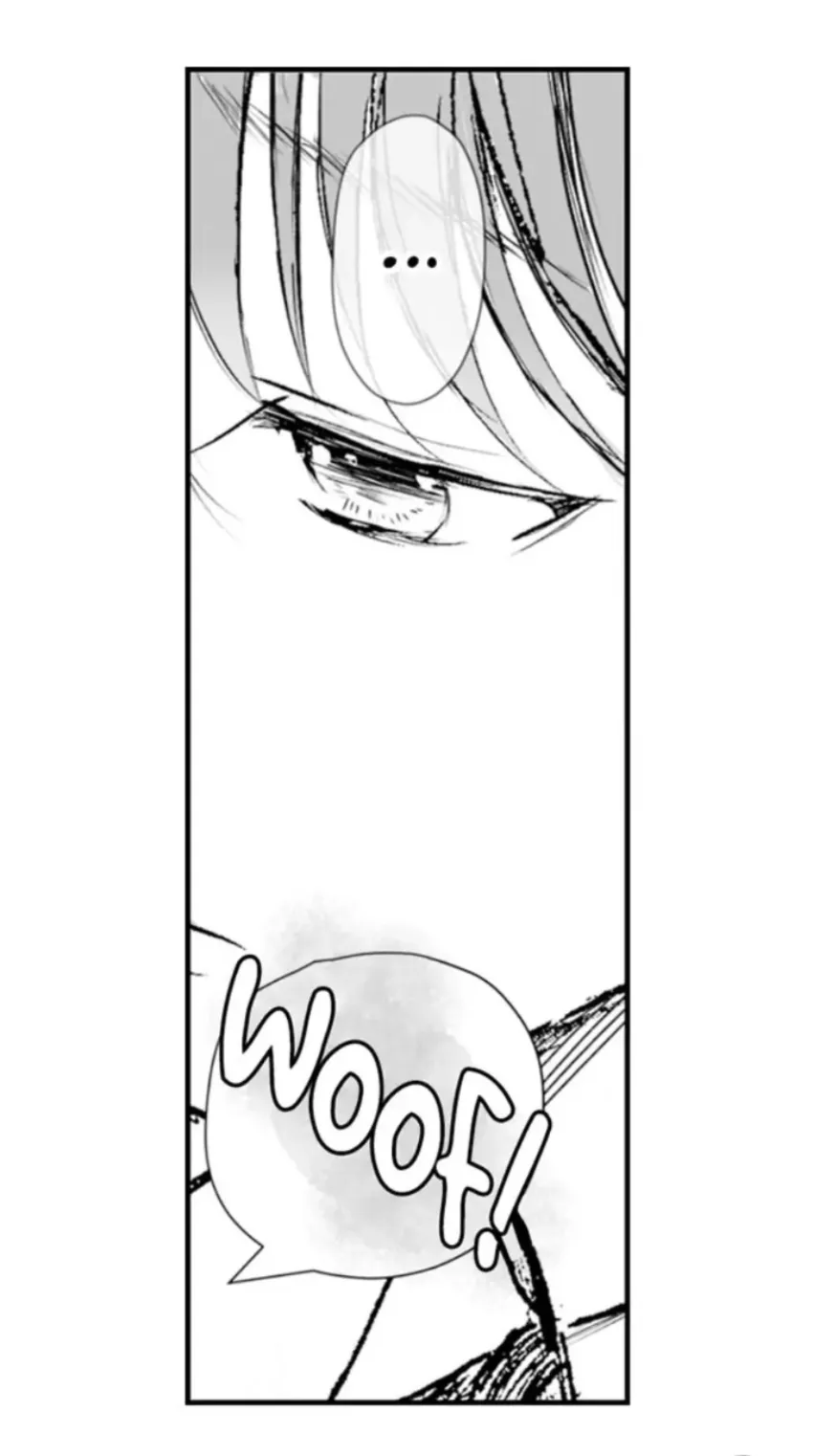 13 Mi esposa predestinada