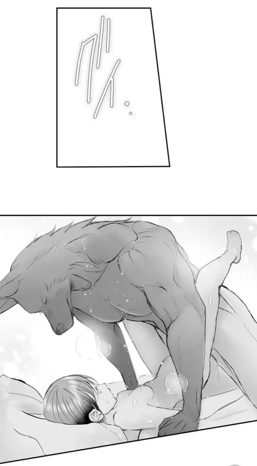 8 Mi esposa predestinada