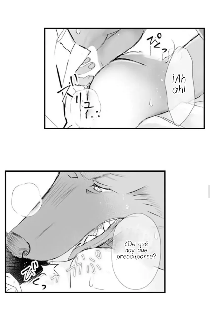 25 Mi esposa predestinada