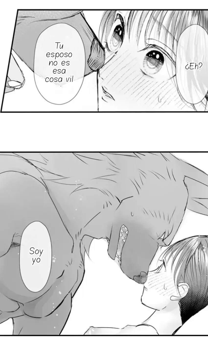 17 Mi esposa predestinada