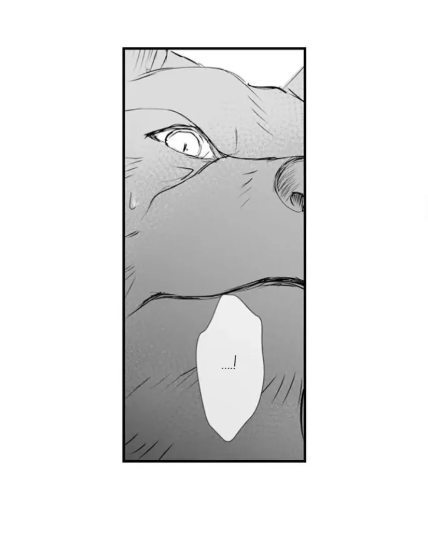 14 Mi esposa predestinada