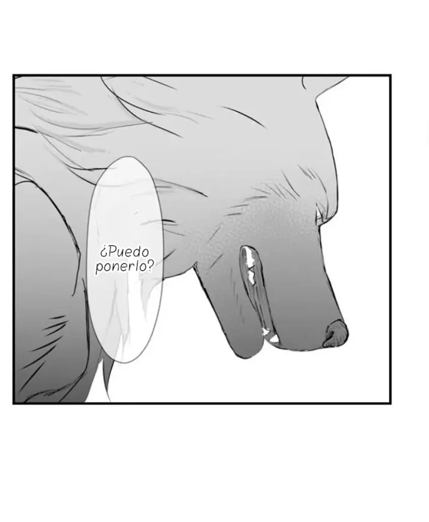 10 Mi esposa predestinada