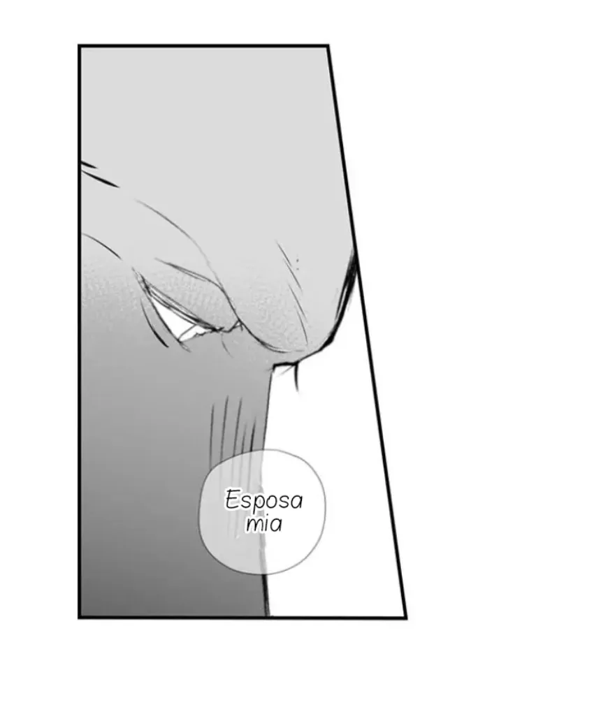 16 Mi esposa predestinada