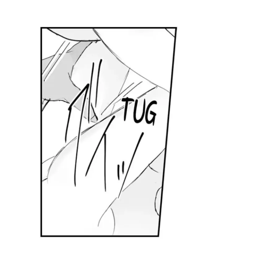 29 Mi esposa predestinada