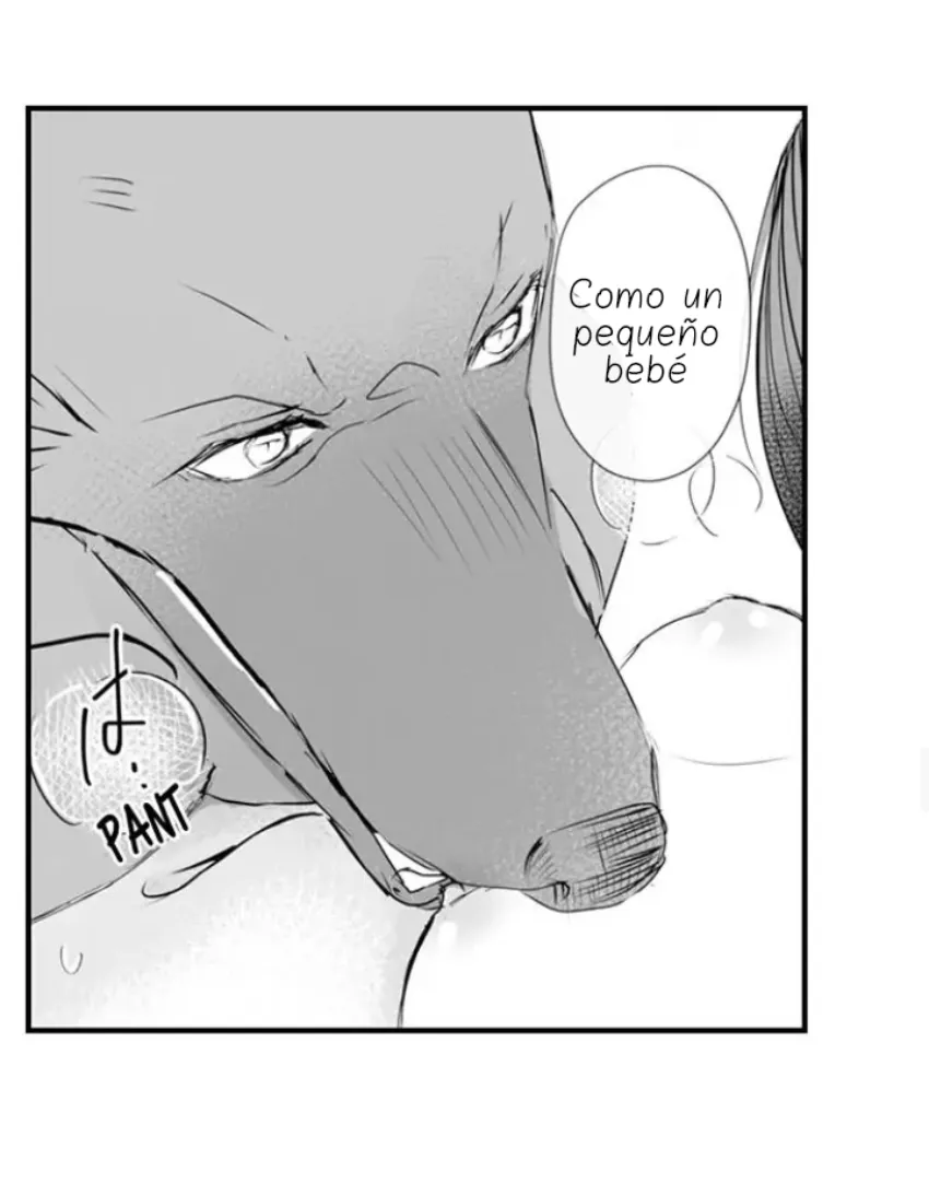 21 Mi esposa predestinada