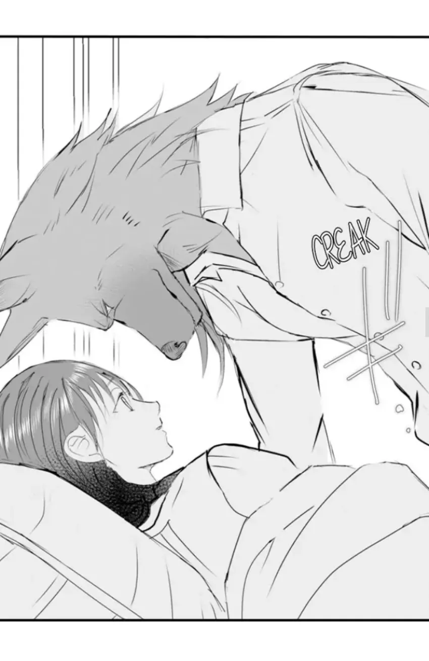 17 Mi esposa predestinada