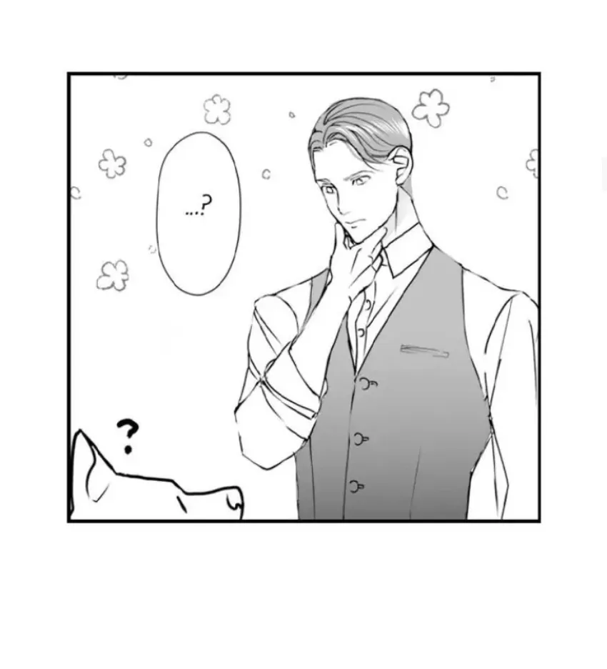 12 Mi esposa predestinada