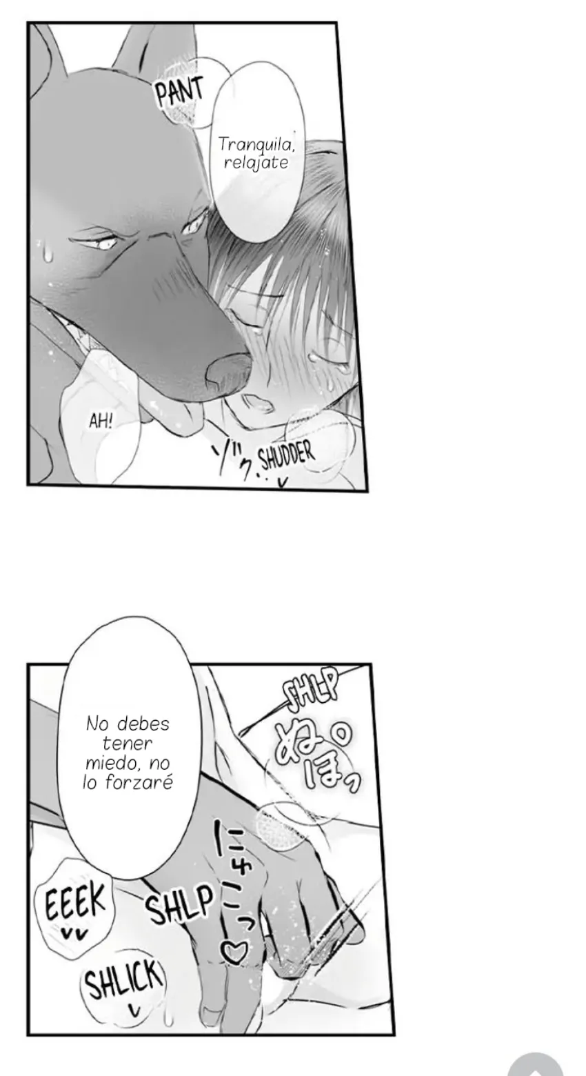 24 Mi esposa predestinada