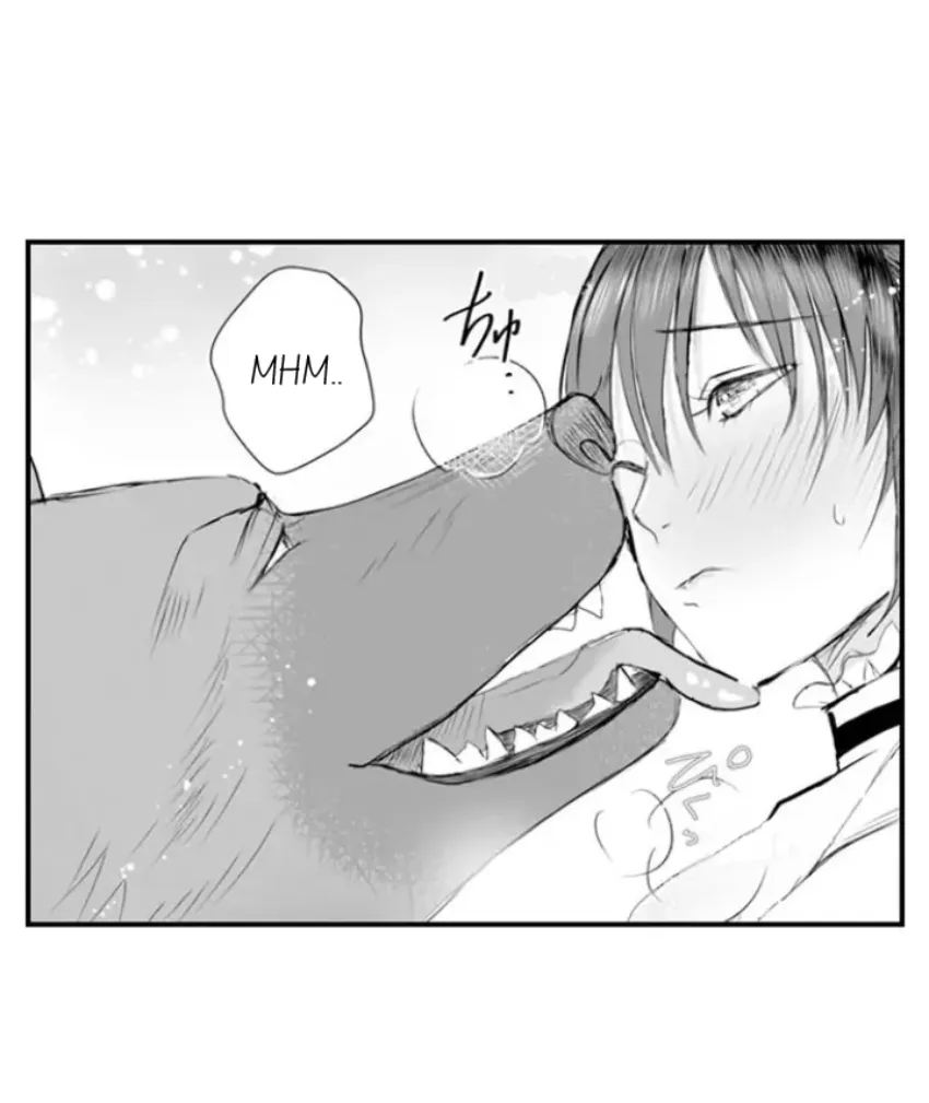 14 Mi esposa predestinada