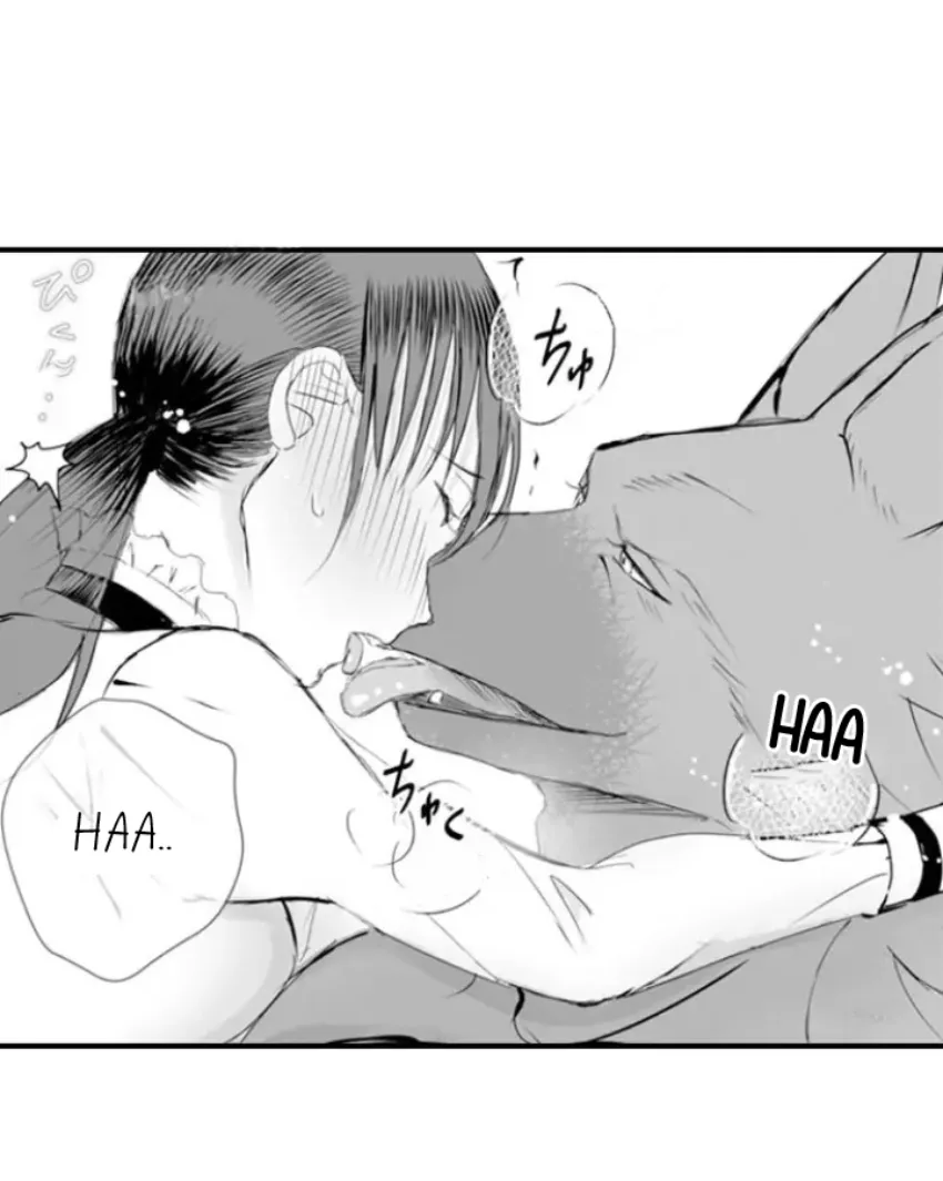 15 Mi esposa predestinada