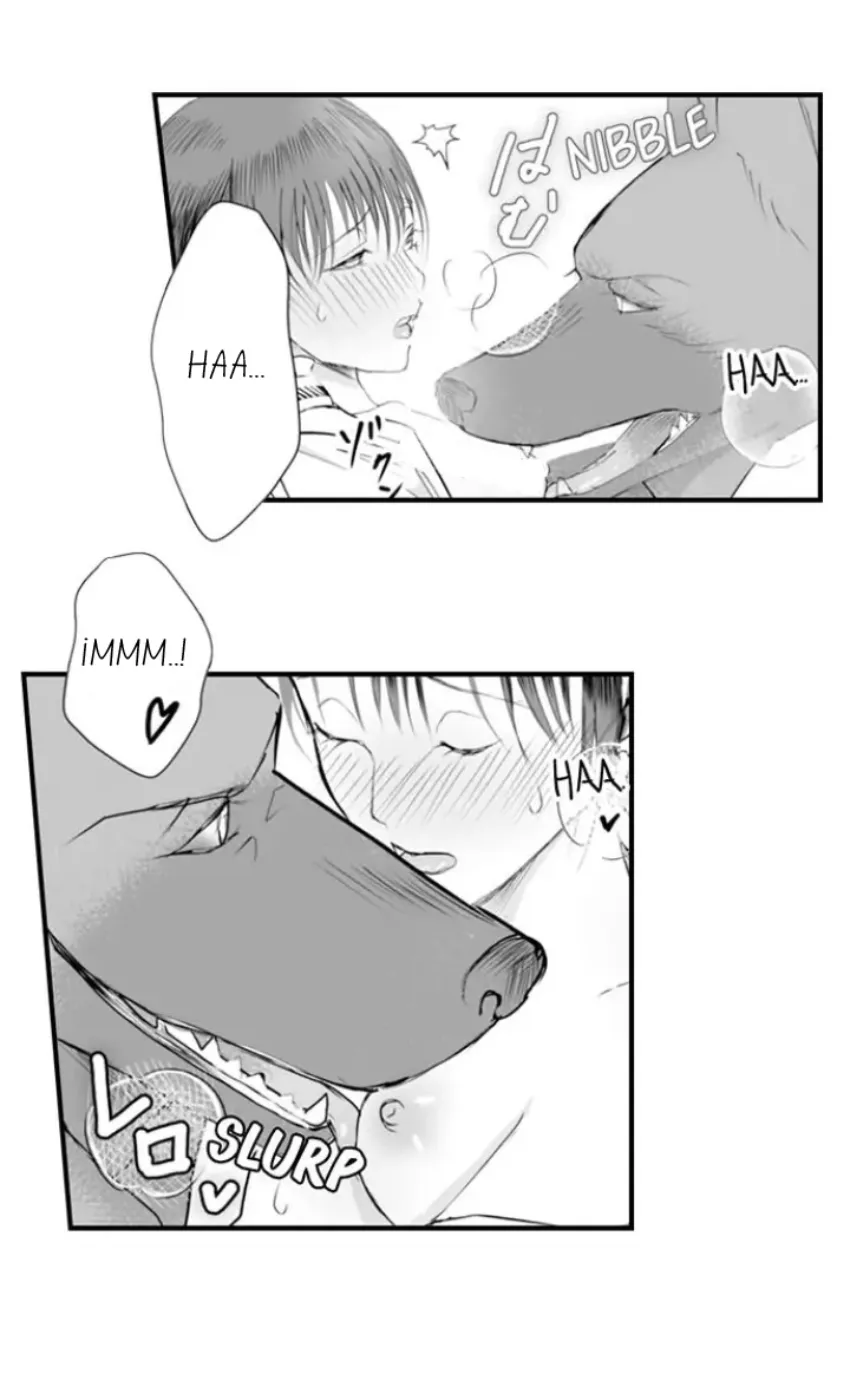 17 Mi esposa predestinada