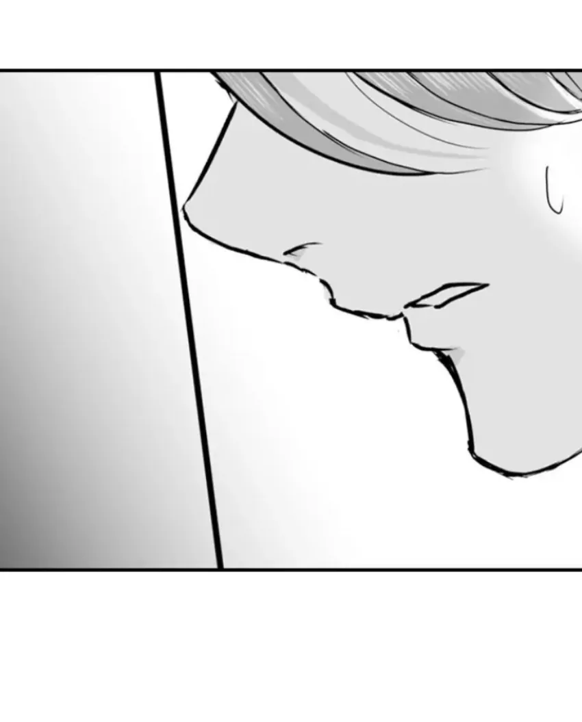 40 Mi esposa predestinada