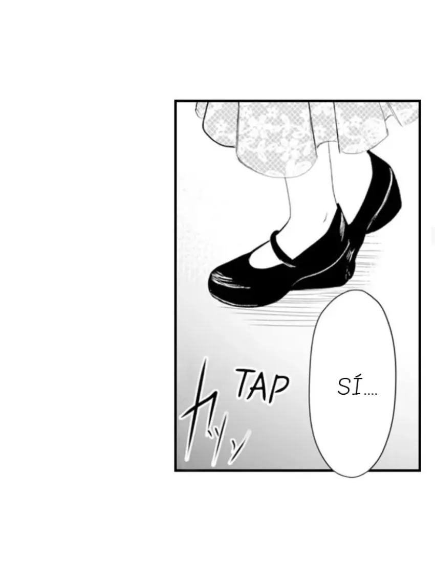 16 Mi esposa predestinada