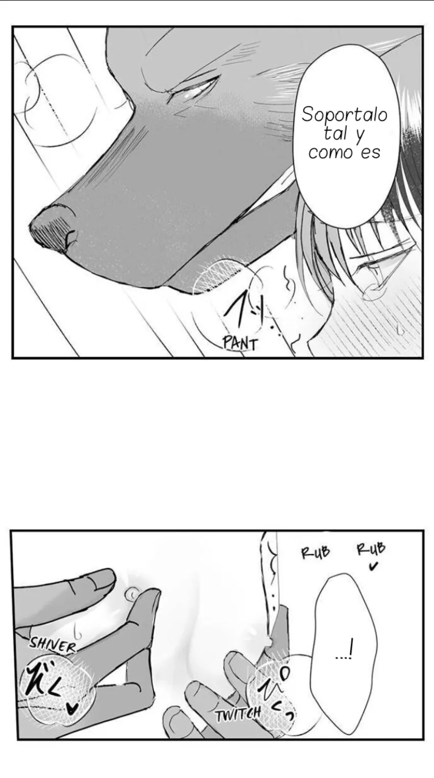 12 Mi esposa predestinada