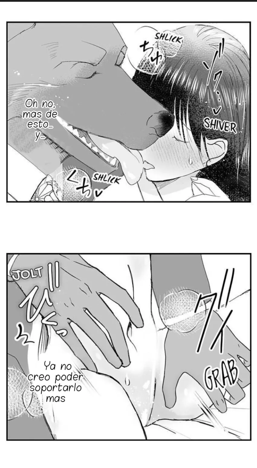 17 Mi esposa predestinada