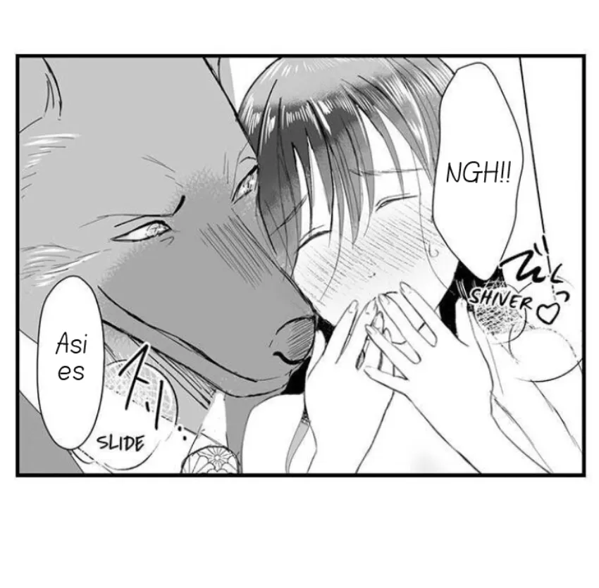 11 Mi esposa predestinada