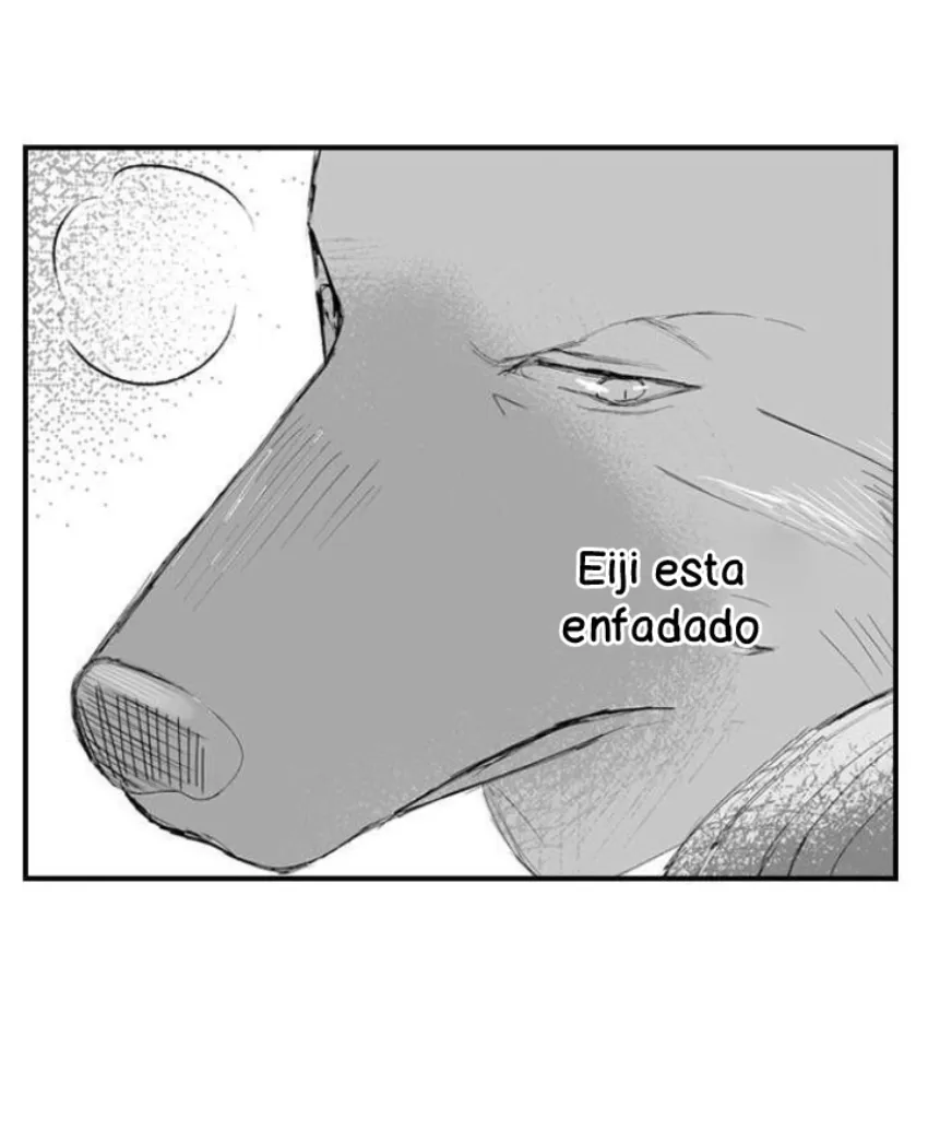 31 Mi esposa predestinada