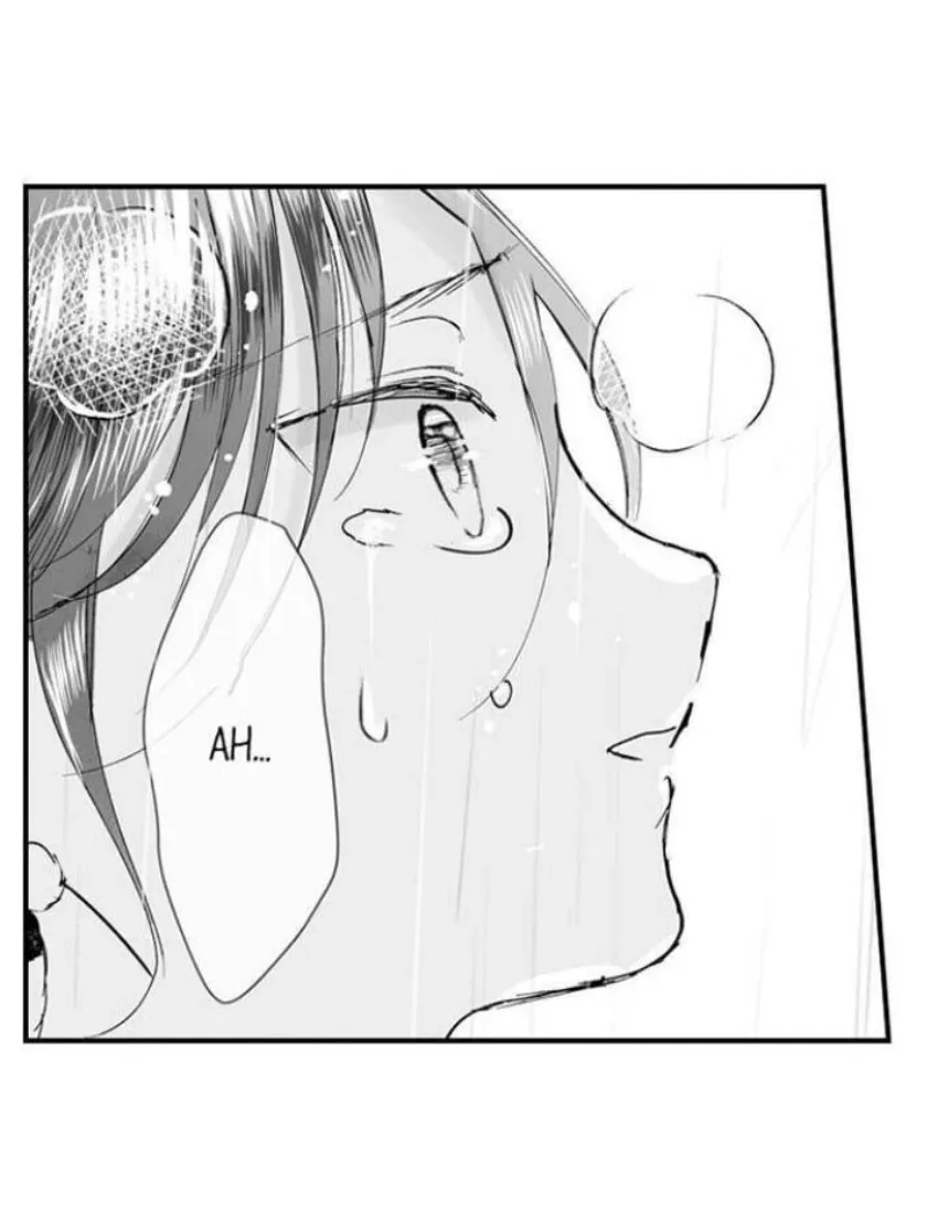 19 Mi esposa predestinada