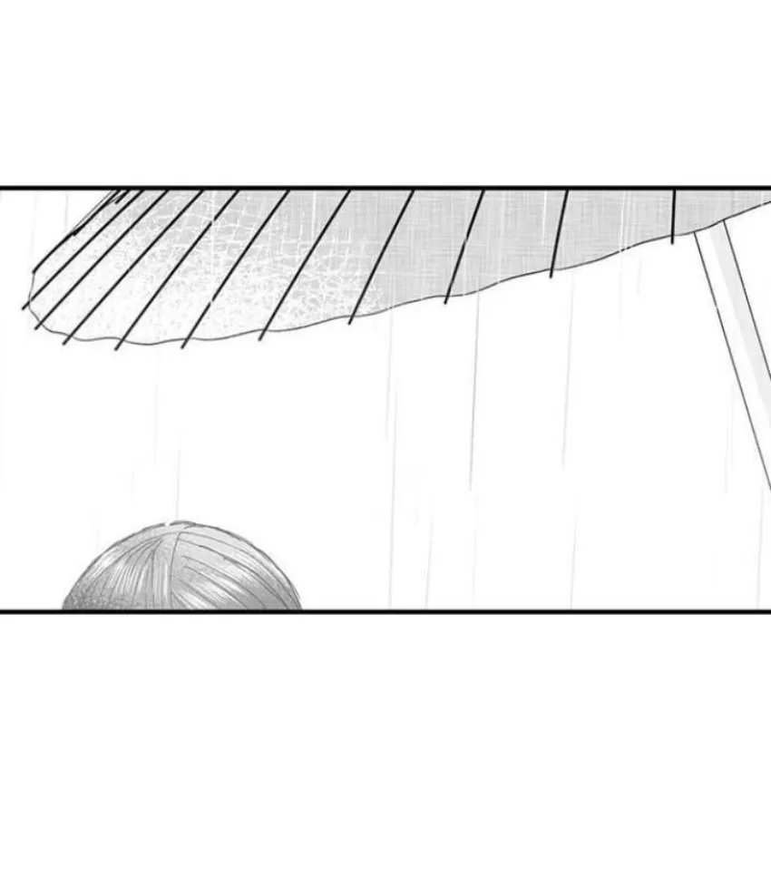 17 Mi esposa predestinada