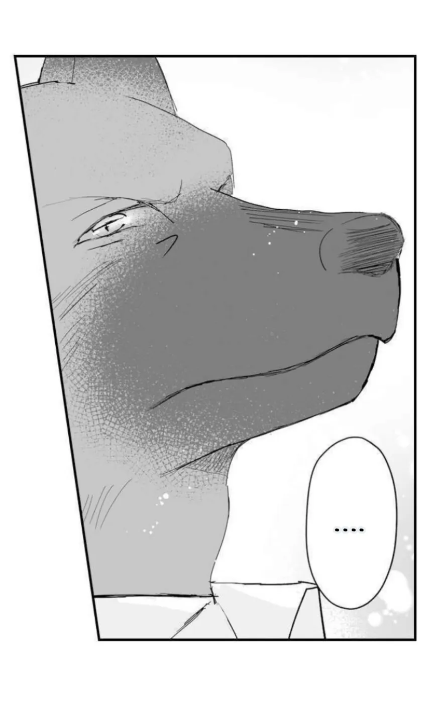 6 Mi esposa predestinada