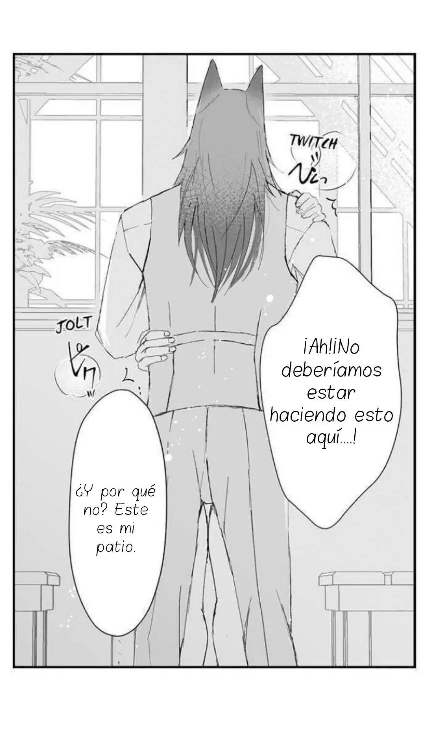 17 Mi esposa predestinada