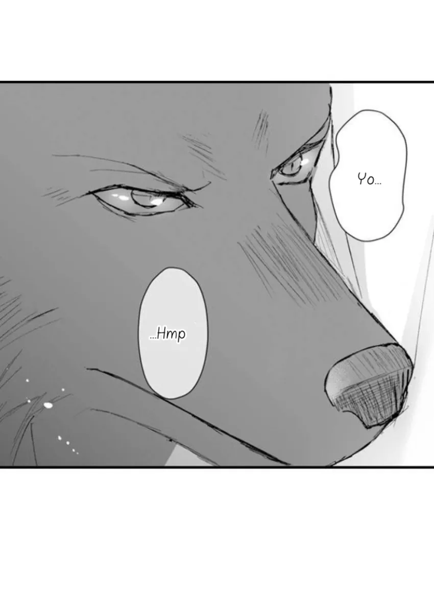 19 Mi esposa predestinada